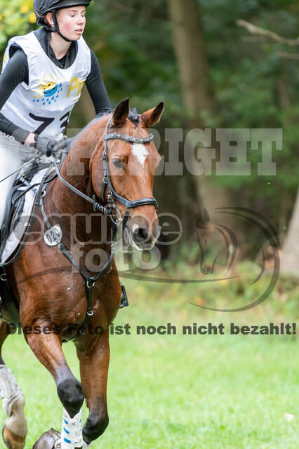 Vielseitigkeit RSV Wesel Obrighoven (26.+27.09.2020)
