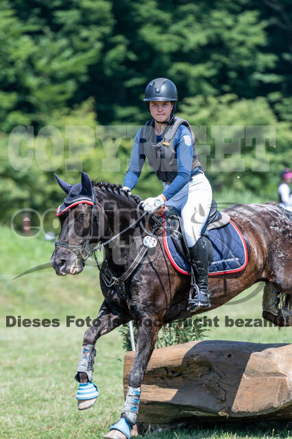 Goldene Schärpe 2021 - Ponys