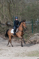 Trainingsturnier Langenfeld (12.+13.03.2022)