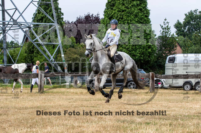 Late-Entry Vielseitigkeit Hamminkeln/Wesel (01.+02.08.2020)
