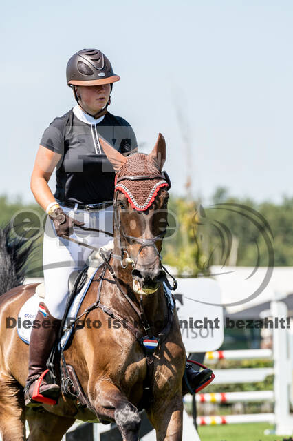 Kronenberg - De Peelbergen (August 2020)