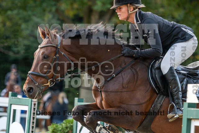 RFV Dinslaken-Hiesfeld (Herbstturnier)