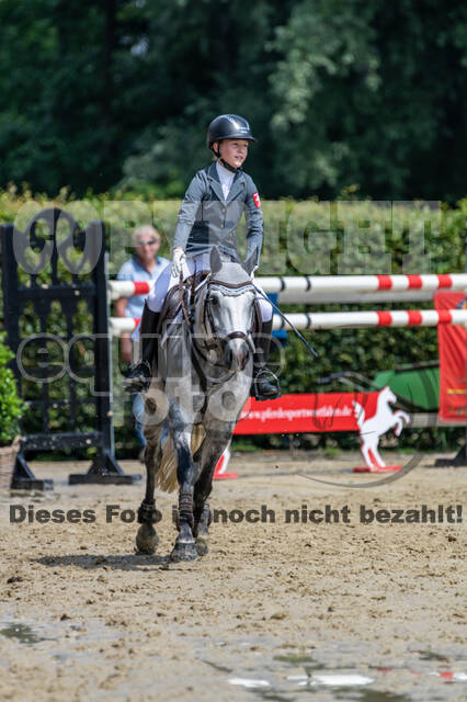 Goldene Schärpe 2021 - Ponys