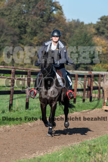 Vielseitigkeitslehrgang mit Jürg Kurbel (9.+10.11.2019)