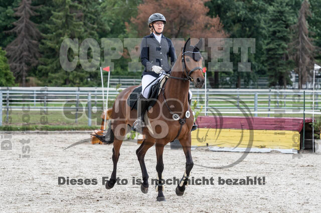 Late-Entry-Vielseitigkeit Langenfeld (06.+07.07.2020)