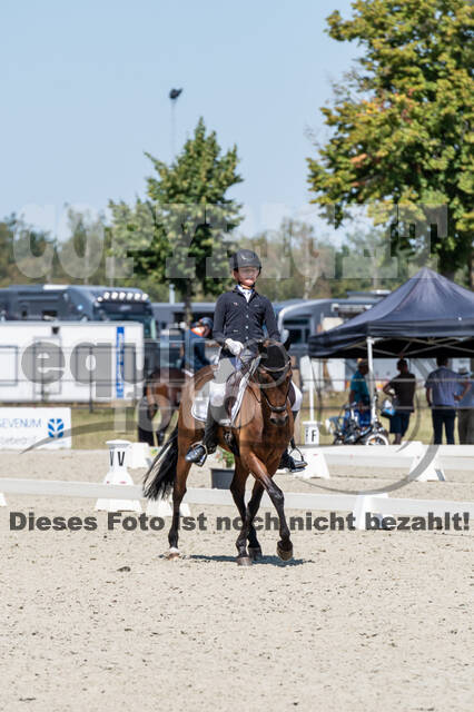 Kronenberg - De Peelbergen (August 2020)