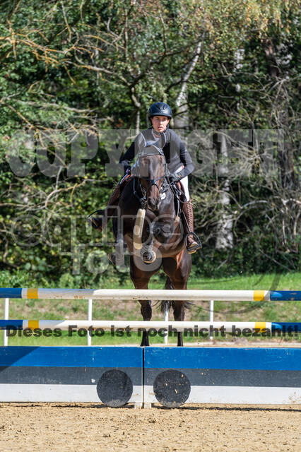 RFV Dinslaken-Hiesfeld (Herbstturnier)