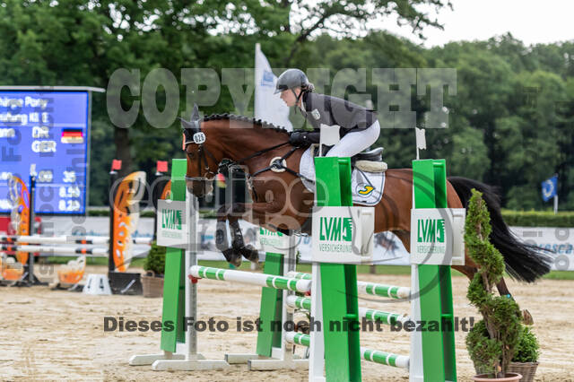 Goldene Schärpe 2021 - Ponys