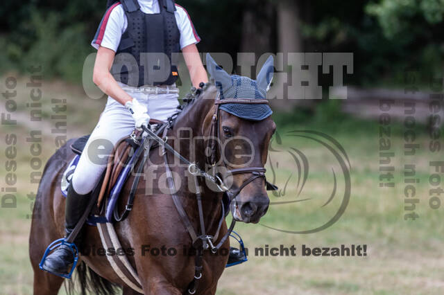 Late-Entry Vielseitigkeit Hamminkeln/Wesel (01.+02.08.2020)