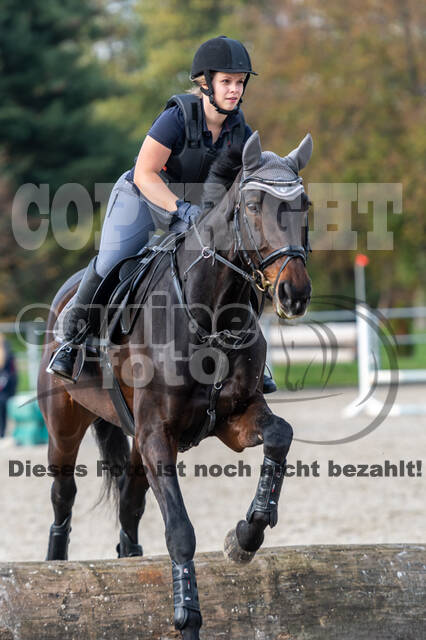 IGV Lehrgang der Sieger der Cups mit Frank Ostholt