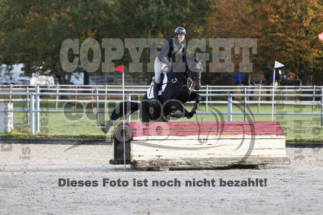 IGV Lehrgang der Sieger der Cups mit Frank Ostholt