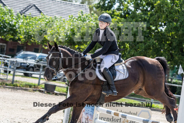 Landesturnier Rheinland, Vielseitigkeit, 22.+23.08.2020