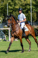 Kronenberg - De Peelbergen (August 2020)