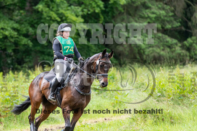 Westerstede Horse Trials (10.-13.06.2021)