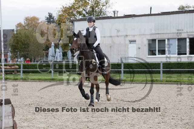 IGV Lehrgang der Sieger der Cups mit Frank Ostholt