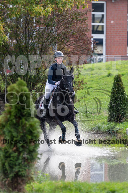 Goldene Schärpe 2020 - Pferde