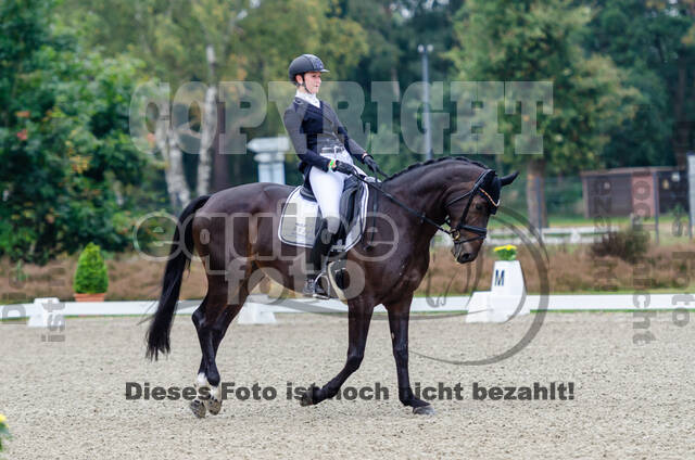 Deutsche Meisterschaft Vielseitigkeit (Luhmühlen)
