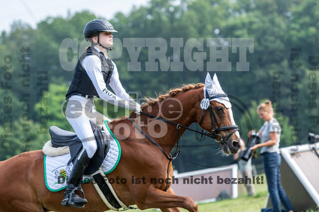 Goldene Schärpe 2021 - Ponys