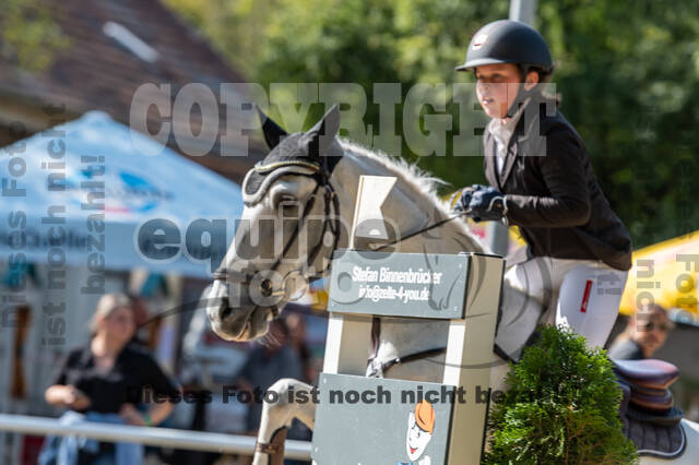 RFV Dinslaken-Hiesfeld (Herbstturnier)