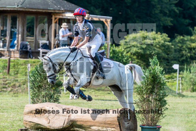 Goldene Schärpe 2021 - Ponys