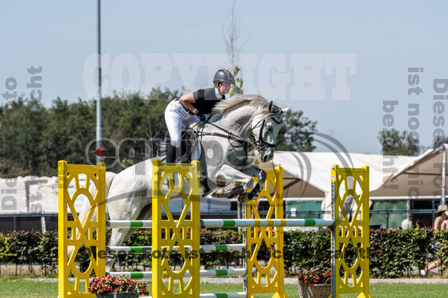 Kronenberg - De Peelbergen (August 2020)