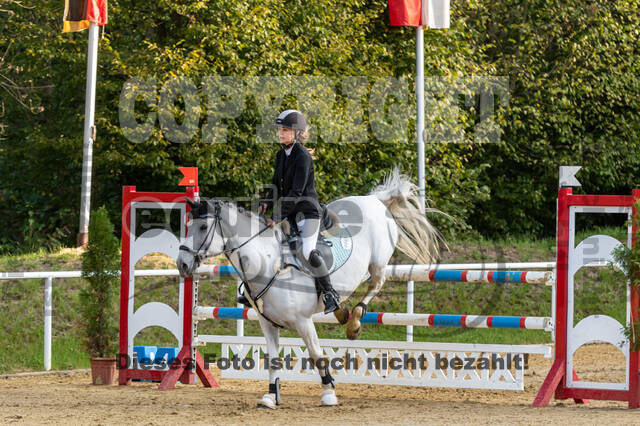 RFV Dinslaken-Hiesfeld (Herbstturnier)