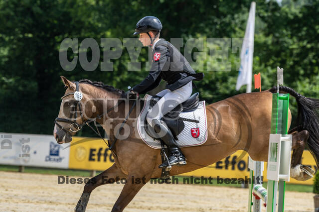 Goldene Schärpe 2021 - Ponys