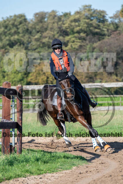 Vielseitigkeitslehrgang mit Jürg Kurbel (9.+10.11.2019)