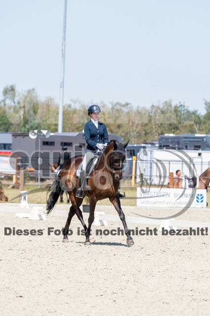 Kronenberg - De Peelbergen (August 2020)