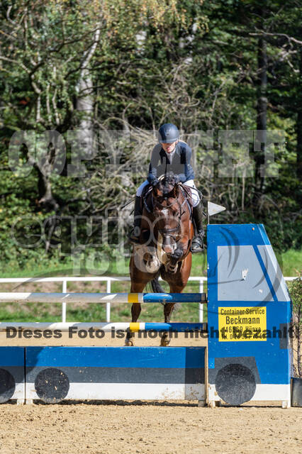 RFV Dinslaken-Hiesfeld (Herbstturnier)