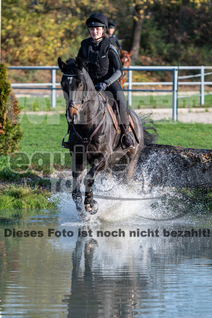 IGV Lehrgang der Sieger der Cups mit Frank Ostholt
