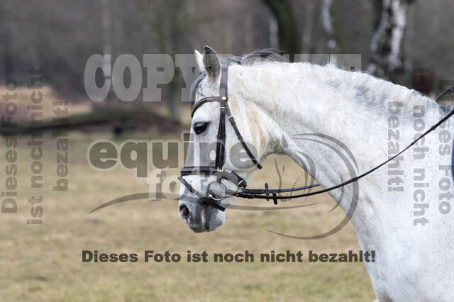 Geländetraining RSV St. Hubertus Wesel Obrighoven