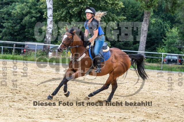 Hunter Geländetraining 10.07.2021 (Sonsbeck)