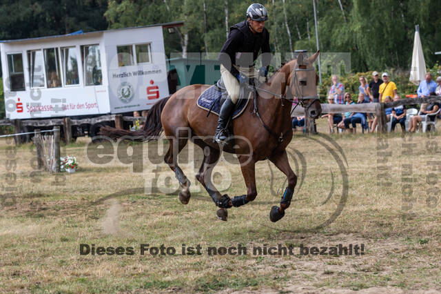 Late-Entry Vielseitigkeit Hamminkeln/Wesel (01.+02.08.2020)