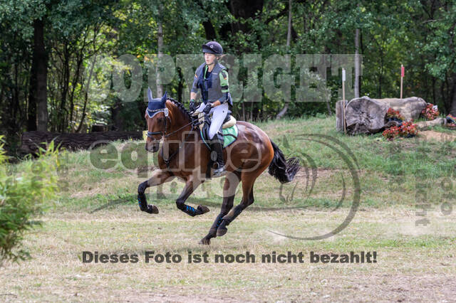 Late-Entry Vielseitigkeit Hamminkeln/Wesel (01.+02.08.2020)