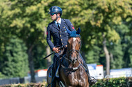 Kronenberg - De Peelbergen (August 2020)