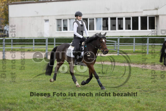 IGV Lehrgang der Sieger der Cups mit Frank Ostholt