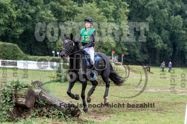 Vielseitigkeit RSV Wesel Obrighoven (26.+27.09.2020)