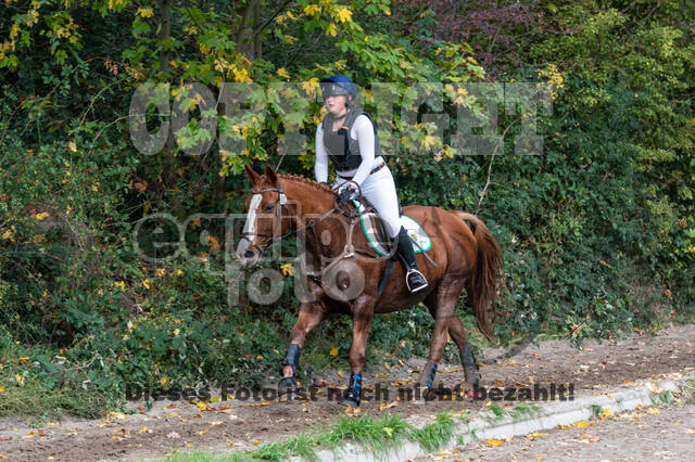 Goldene Schärpe 2020 - Pferde