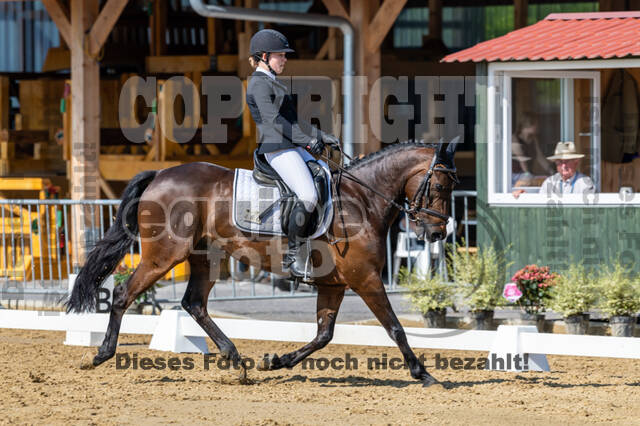 Westerstede Horse Trials 2021