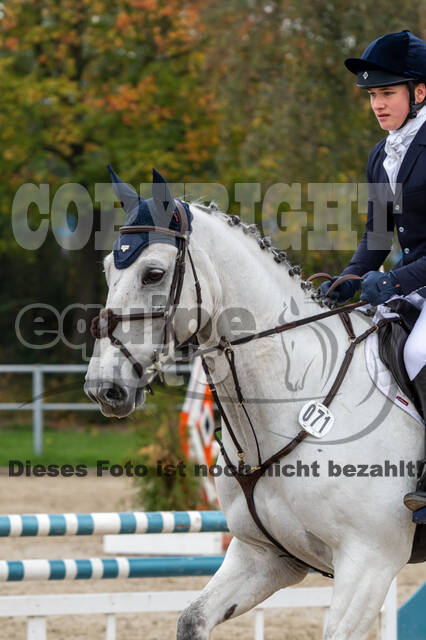 Goldene Schärpe 2020 - Pferde