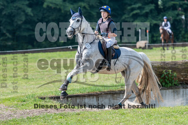 Goldene Schärpe 2021 - Ponys