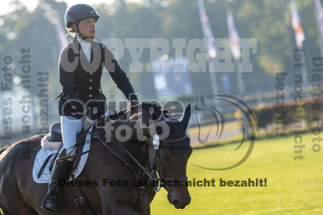 De Peelbergen (August 2020)
