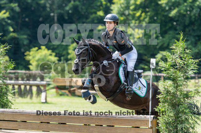 Goldene Schärpe 2021 - Ponys