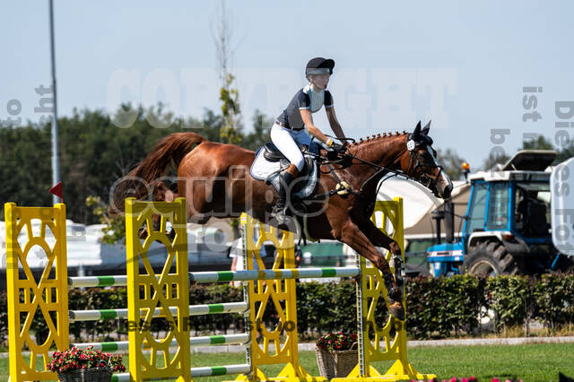 Kronenberg - De Peelbergen (August 2020)