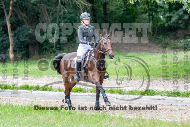 Late-Entry-Vielseitigkeit Langenfeld (06.+07.07.2020)