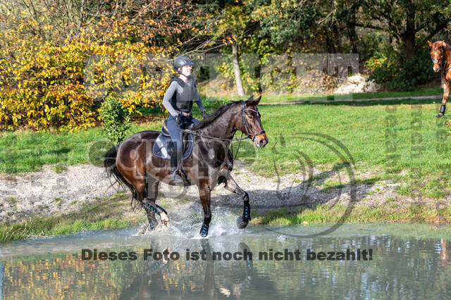 IGV Lehrgang der Sieger der Cups mit Frank Ostholt