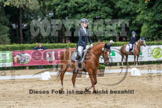 Goldene Schärpe 2021 - Ponys