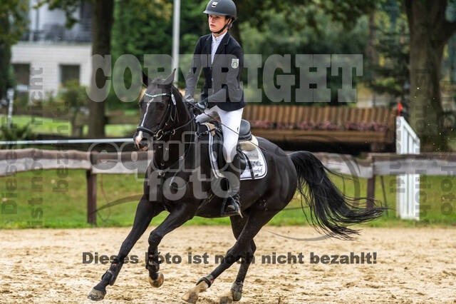 Vielseitigkeit RSV Wesel Obrighoven (26.+27.09.2020)