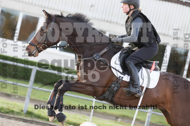 IGV Lehrgang der Sieger der Cups mit Frank Ostholt